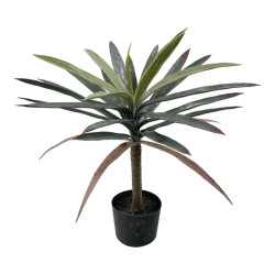Διακοσμητικό φυτό Dracaena palm σε γλάστρα Inart πράσινο pp Υ62εκ