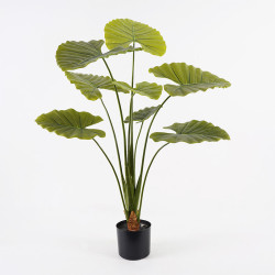 Διακοσμητικό φυτό σε γλάστρα Alocasia Inart πράσινο Φ90x120εκ