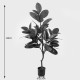 Διακοσμητικό φυτό σε γλάστρα Ficus Lyrata Inart πράσινο Φ70x130εκ