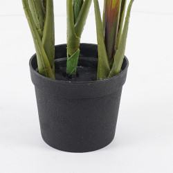 Διακοσμητικό φυτό σε γλάστρα Cycas Inart πράσινο Φ55x80εκ